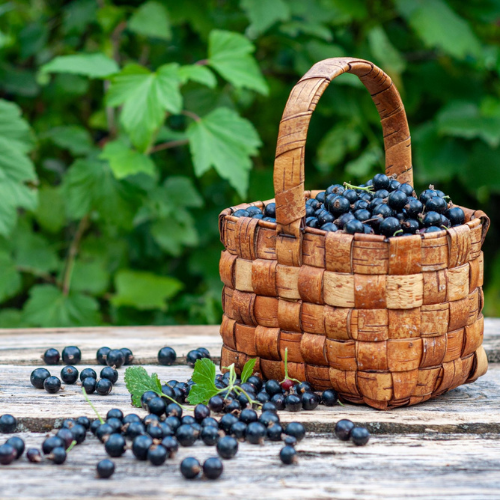 Berrybush Candle - Travel Tin